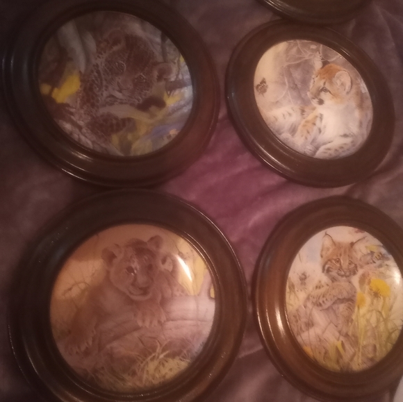 Everything - Picture 8 of 10